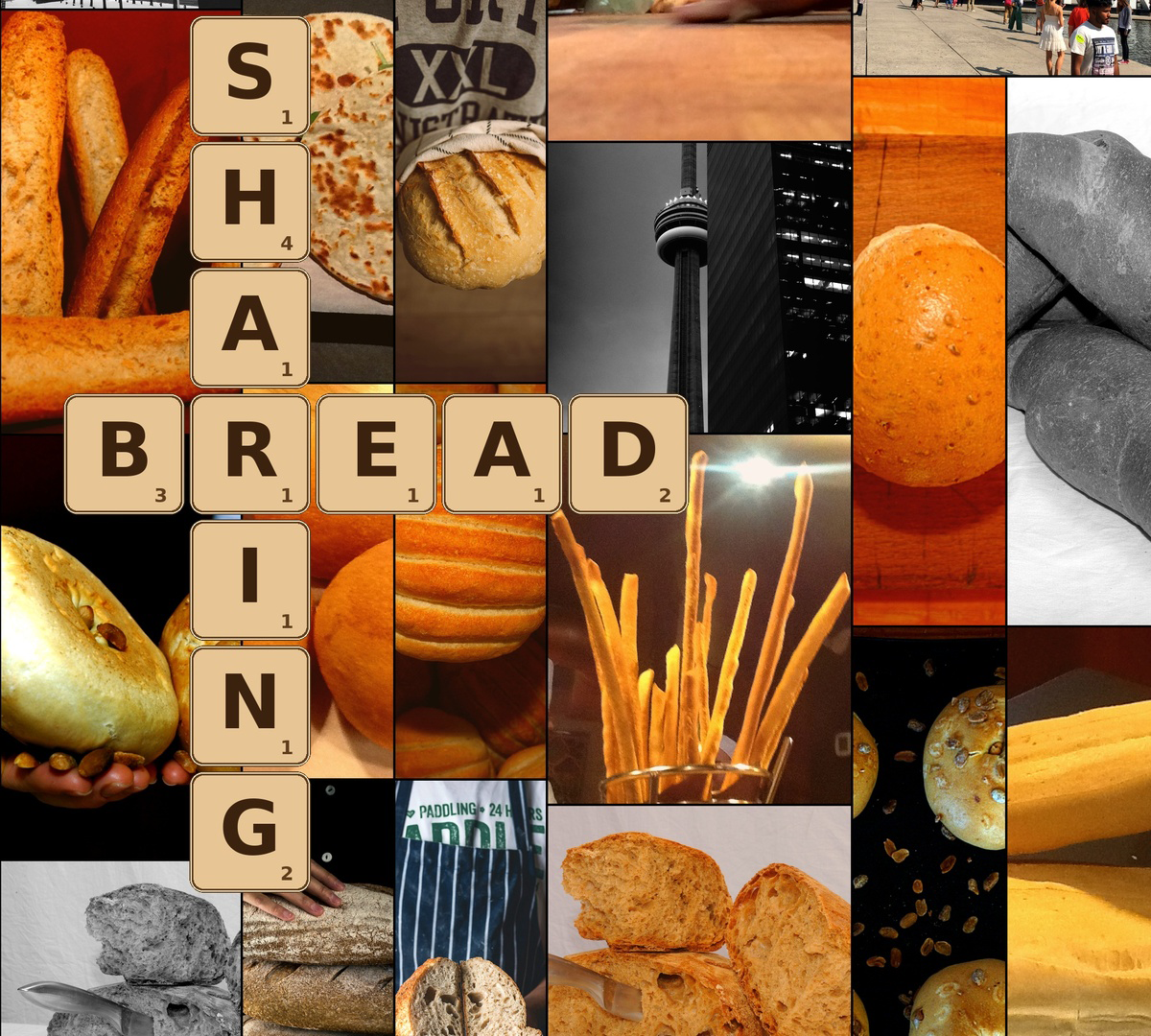 SharingBread_WEB